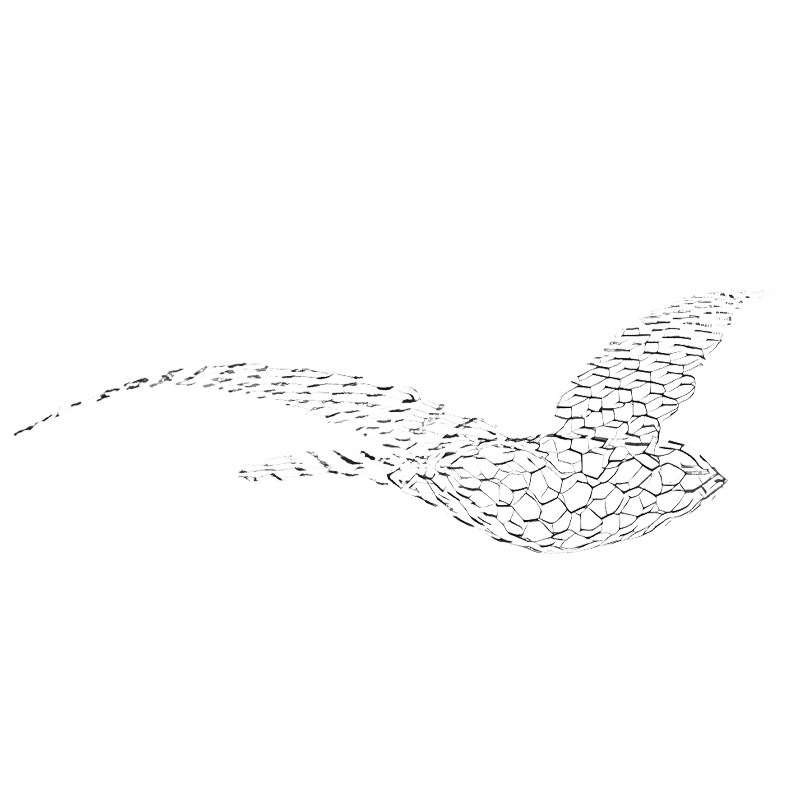 Birds - Large