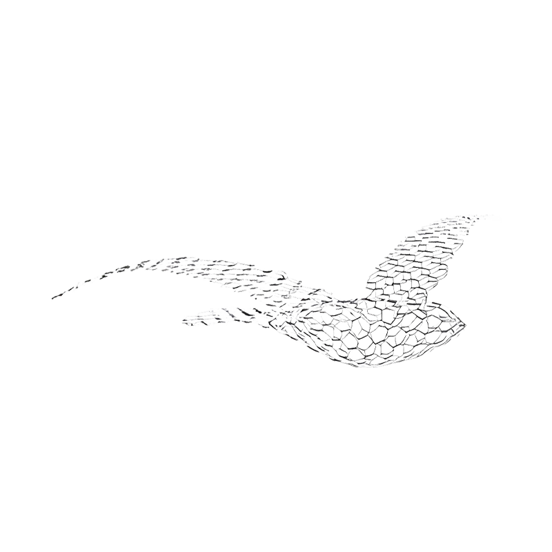 Birds - Small