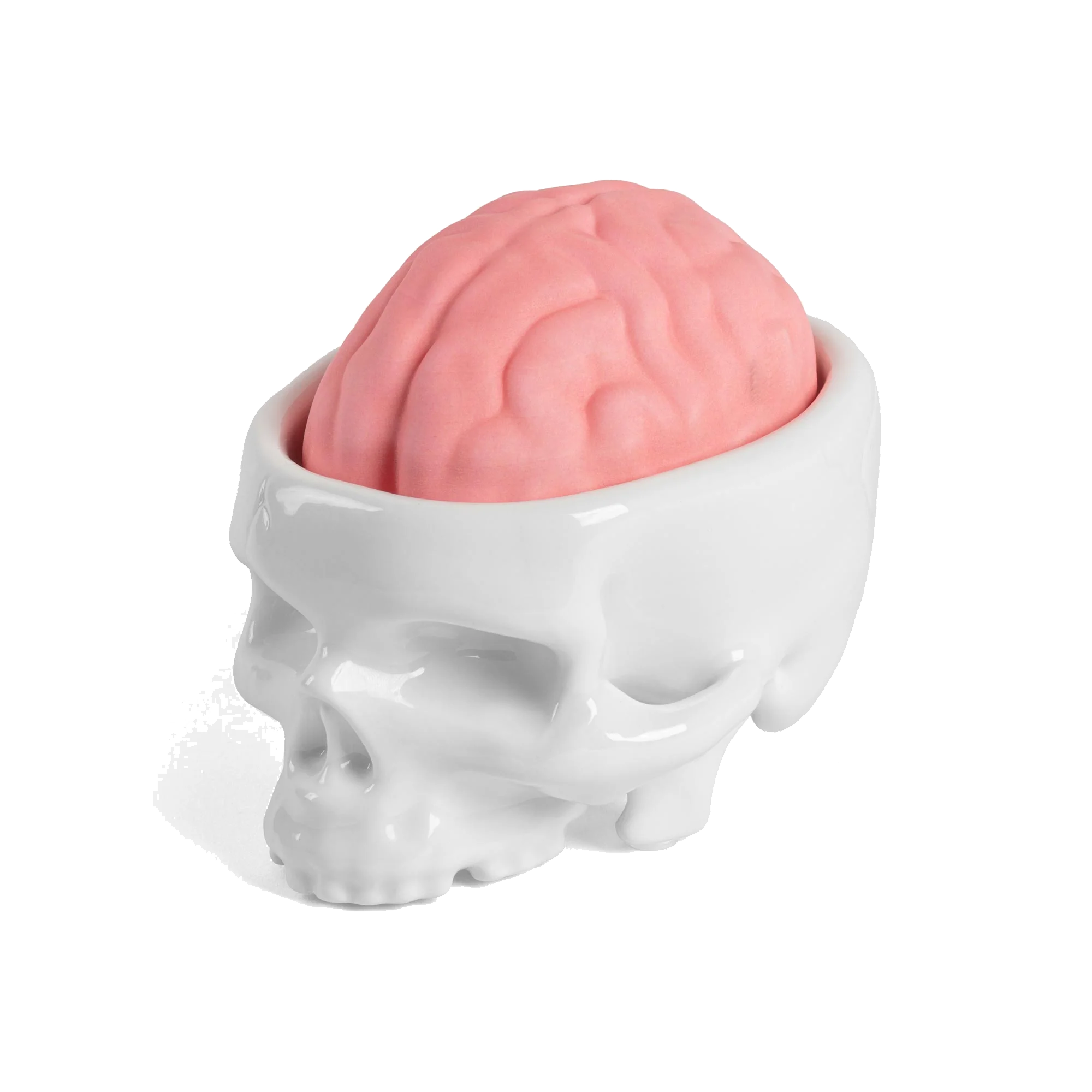 Brain Wash