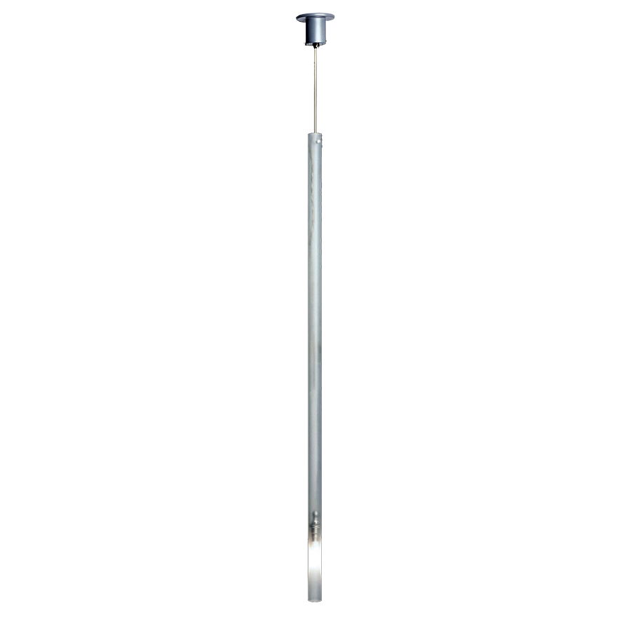 Canna Nuda - 75 cm