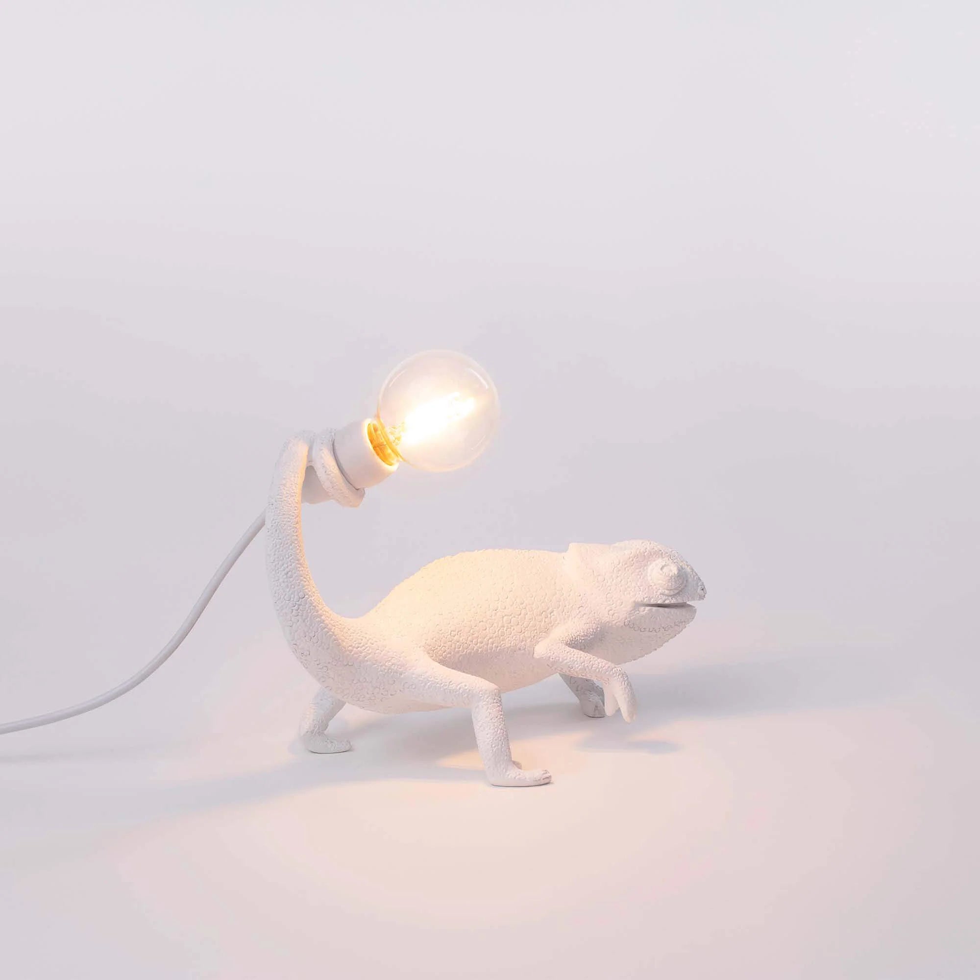 Chameleon Lamp