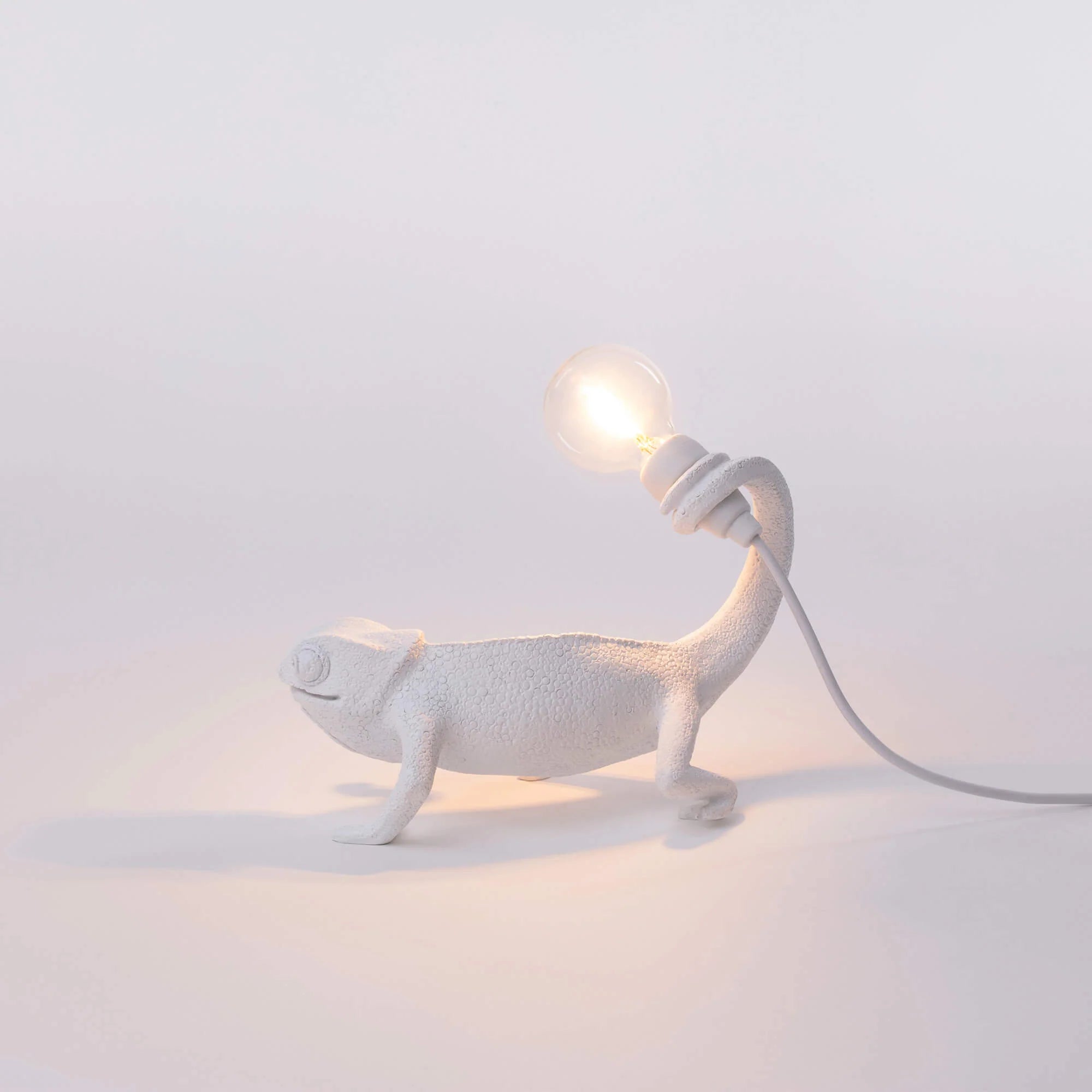 Chameleon Lamp