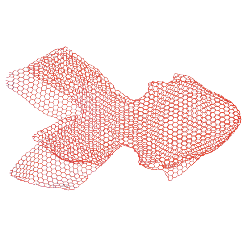 Fish - Large