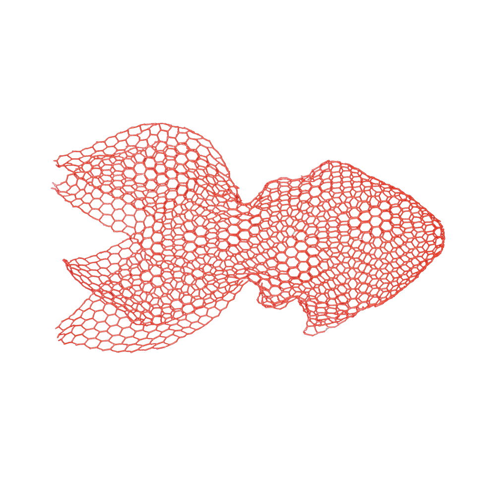 Fish - Medium