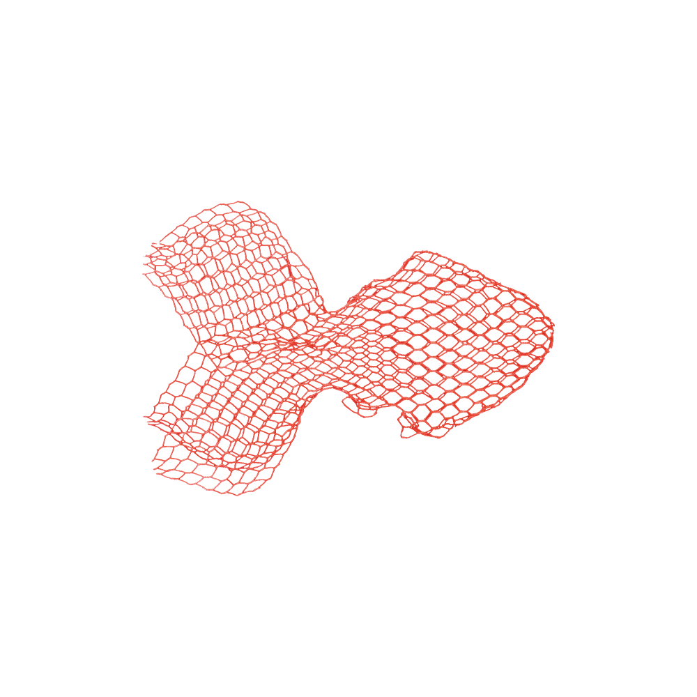 Fish - Small