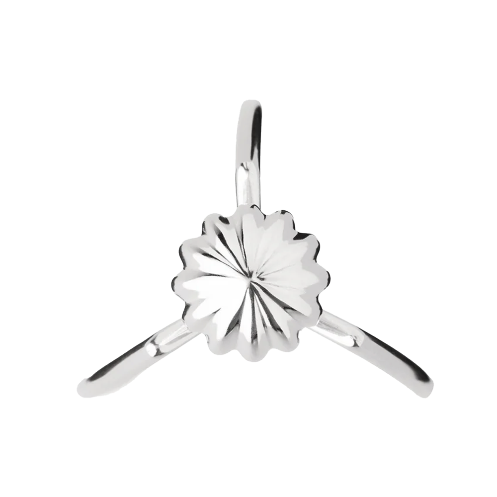 Juicy Salif