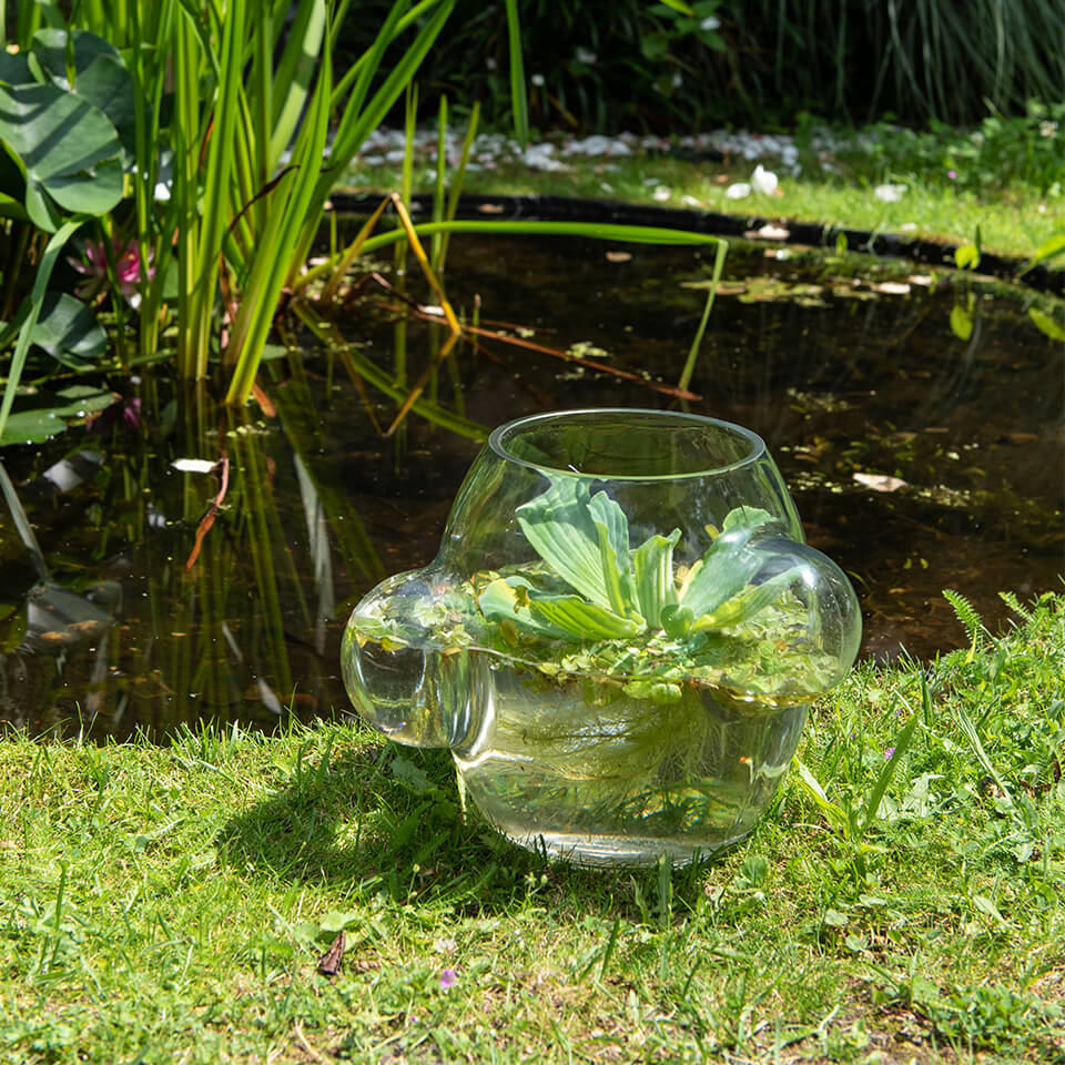 Local Habitat