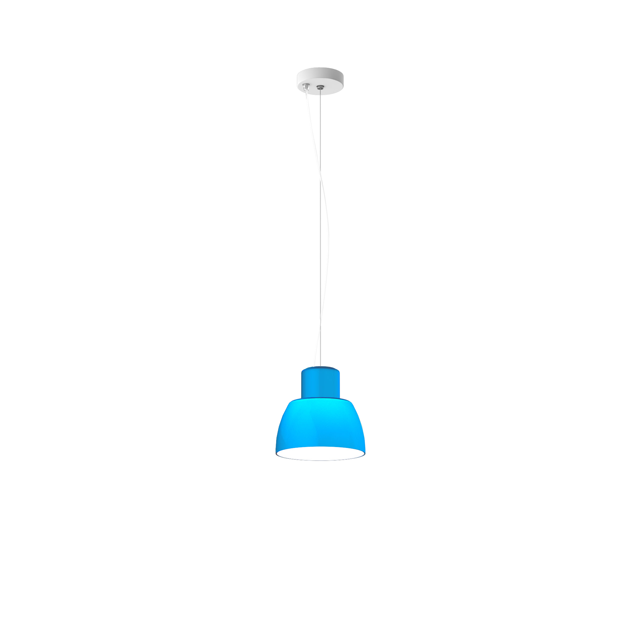 Lorosae - 20 cm
