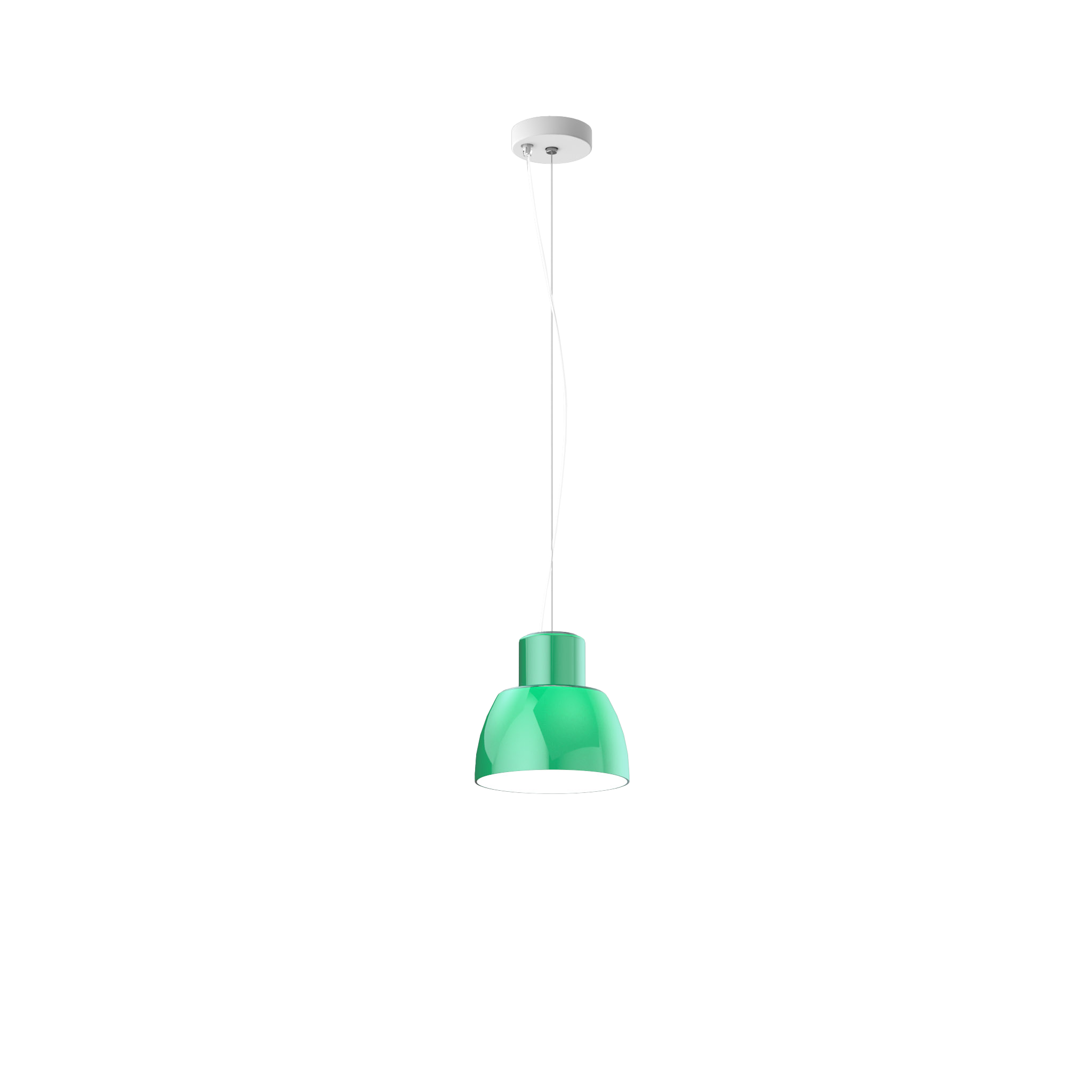 Lorosae - 20 cm