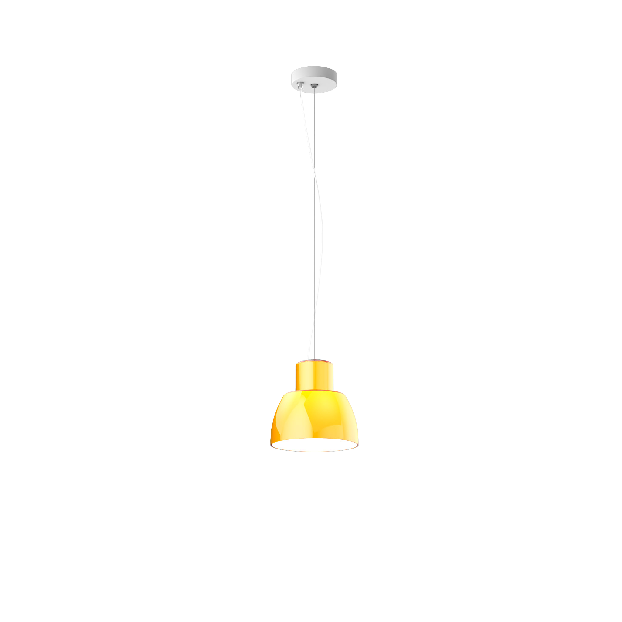 Lorosae - 20 cm