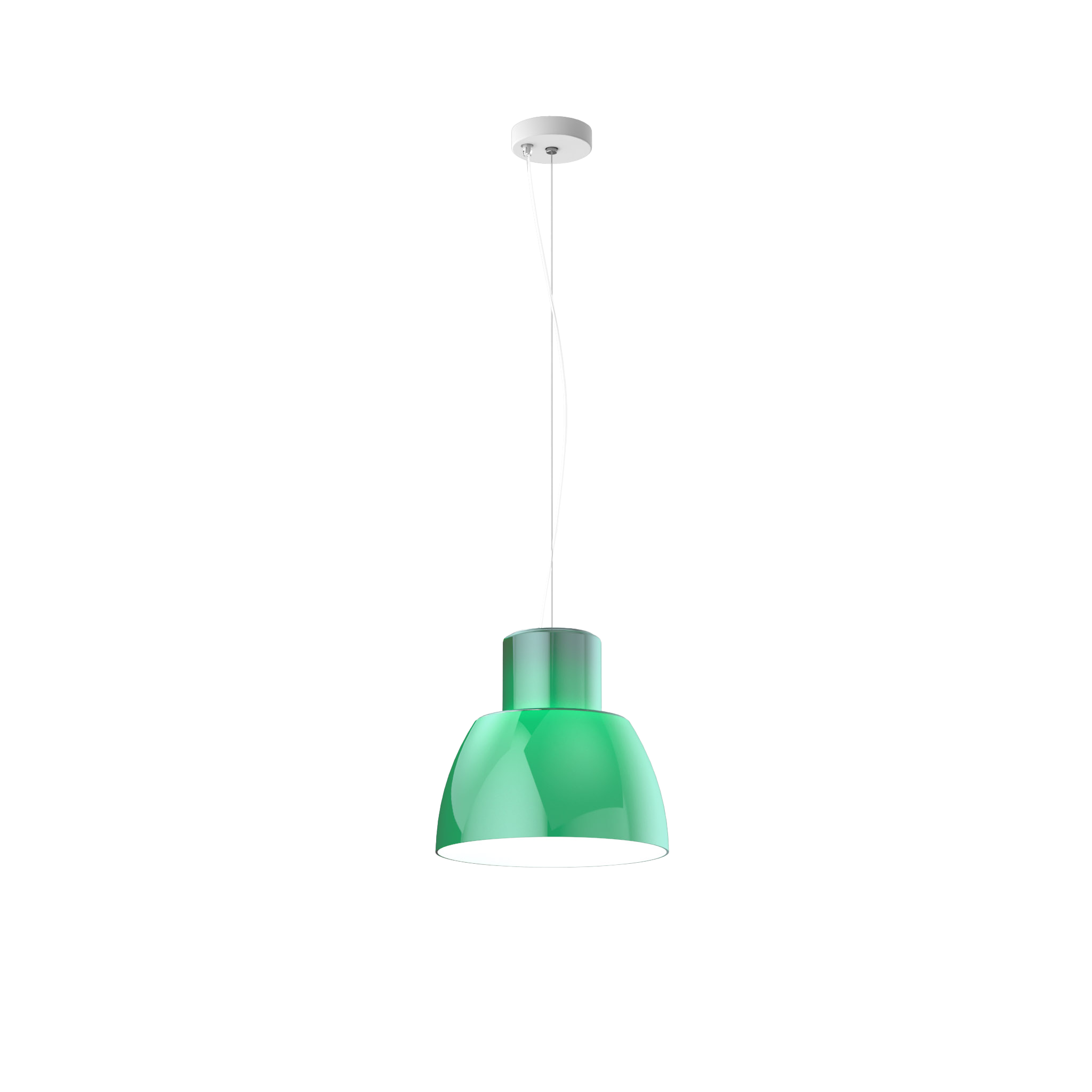 Lorosae - 30 cm