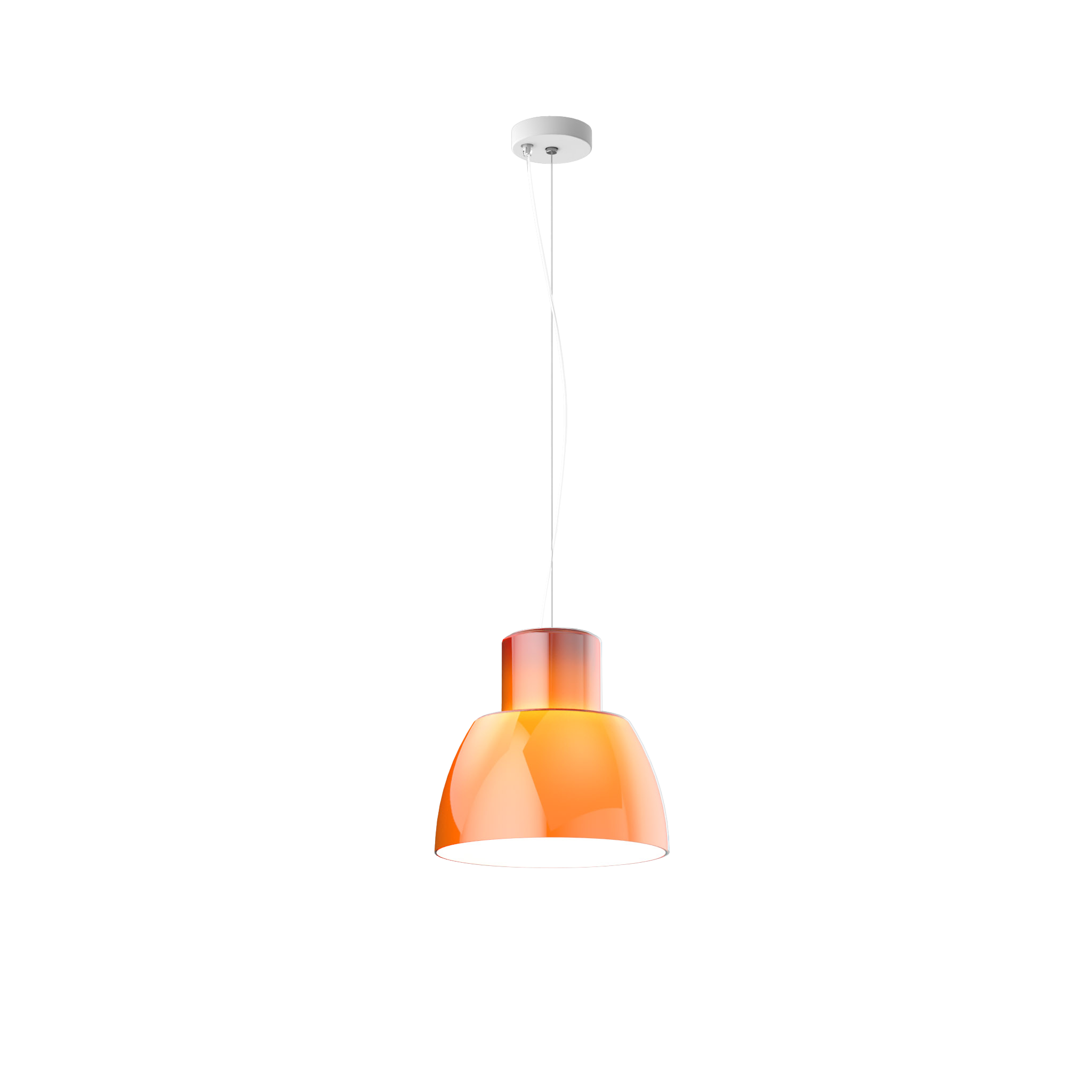 Lorosae - 30 cm