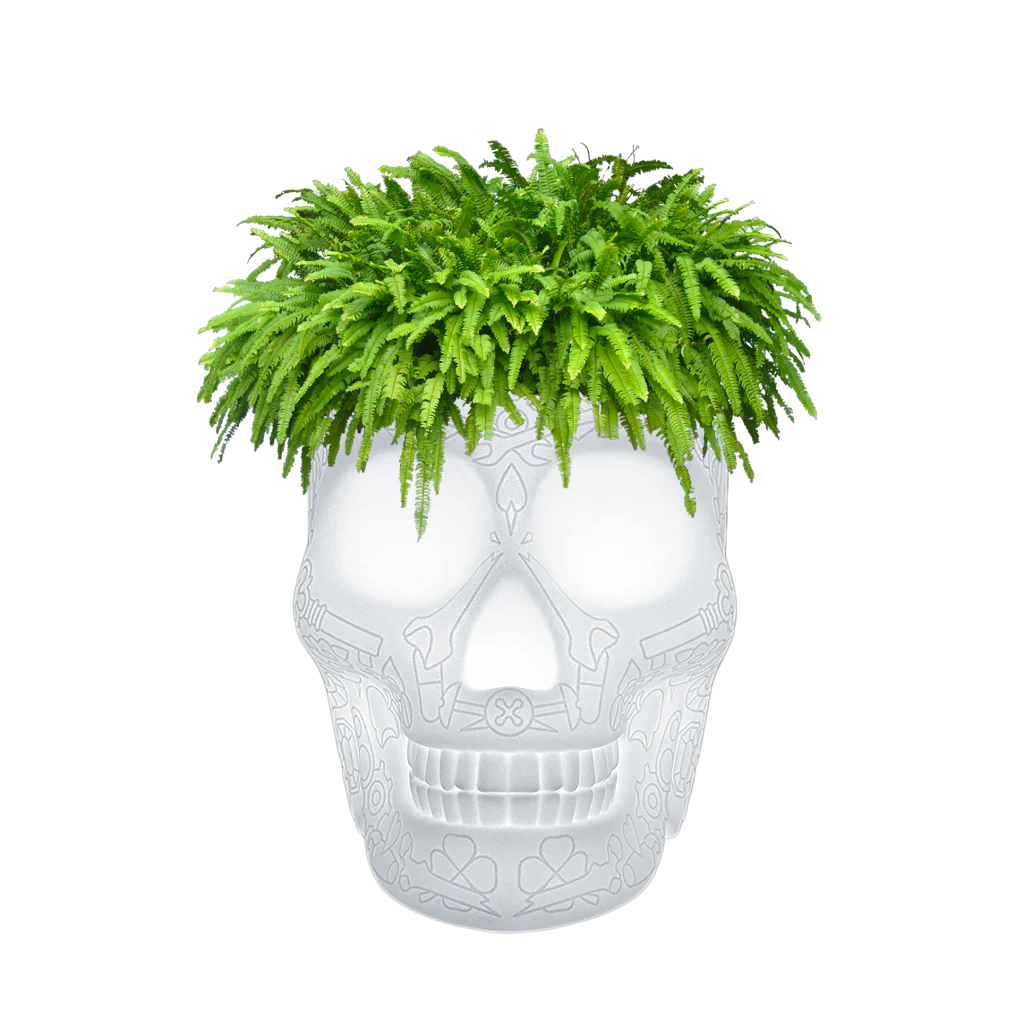 Mexico Planter & Glacette LED