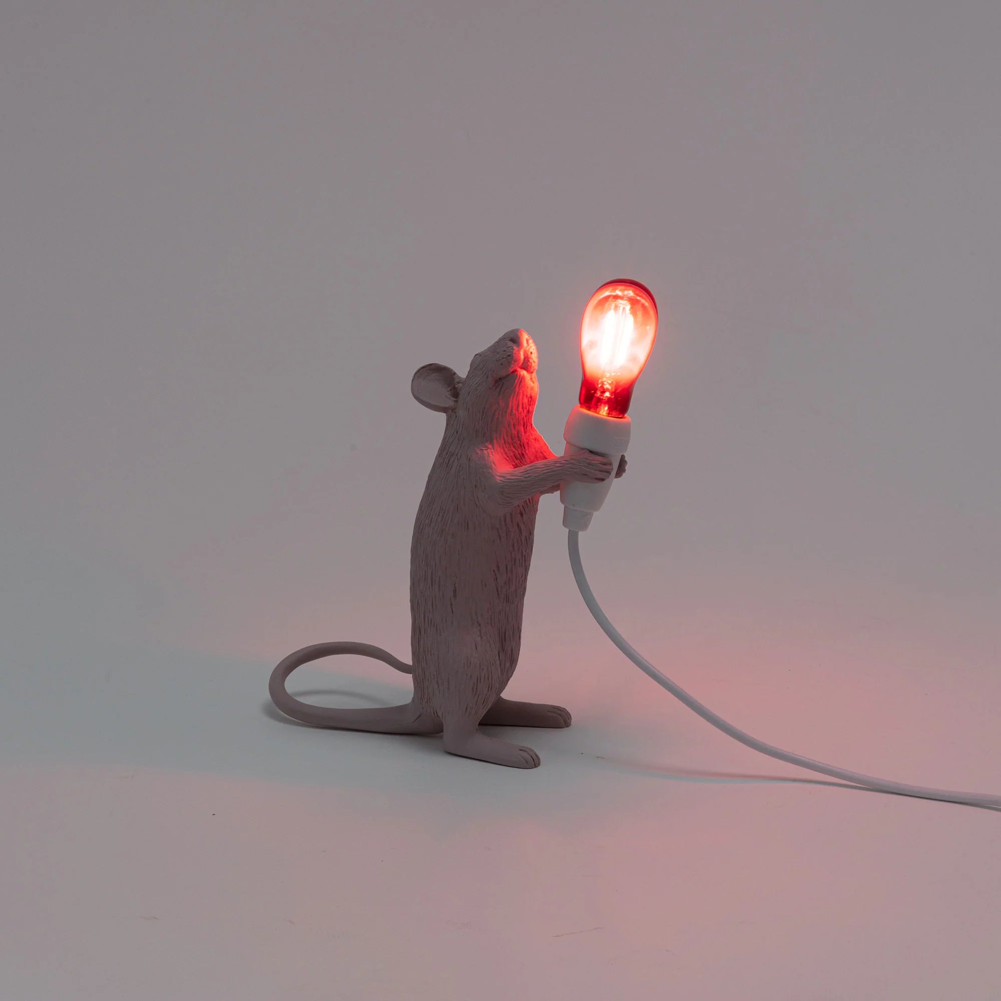 Mouse Lamp - Step Love