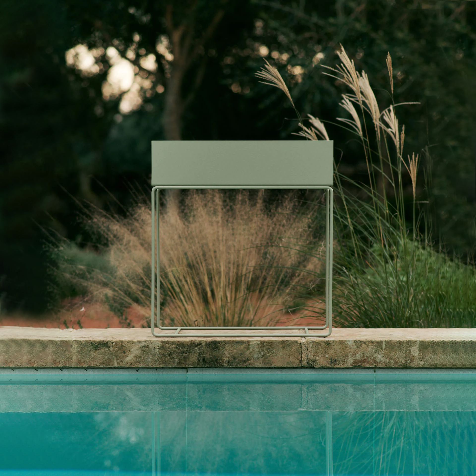 Plant Box