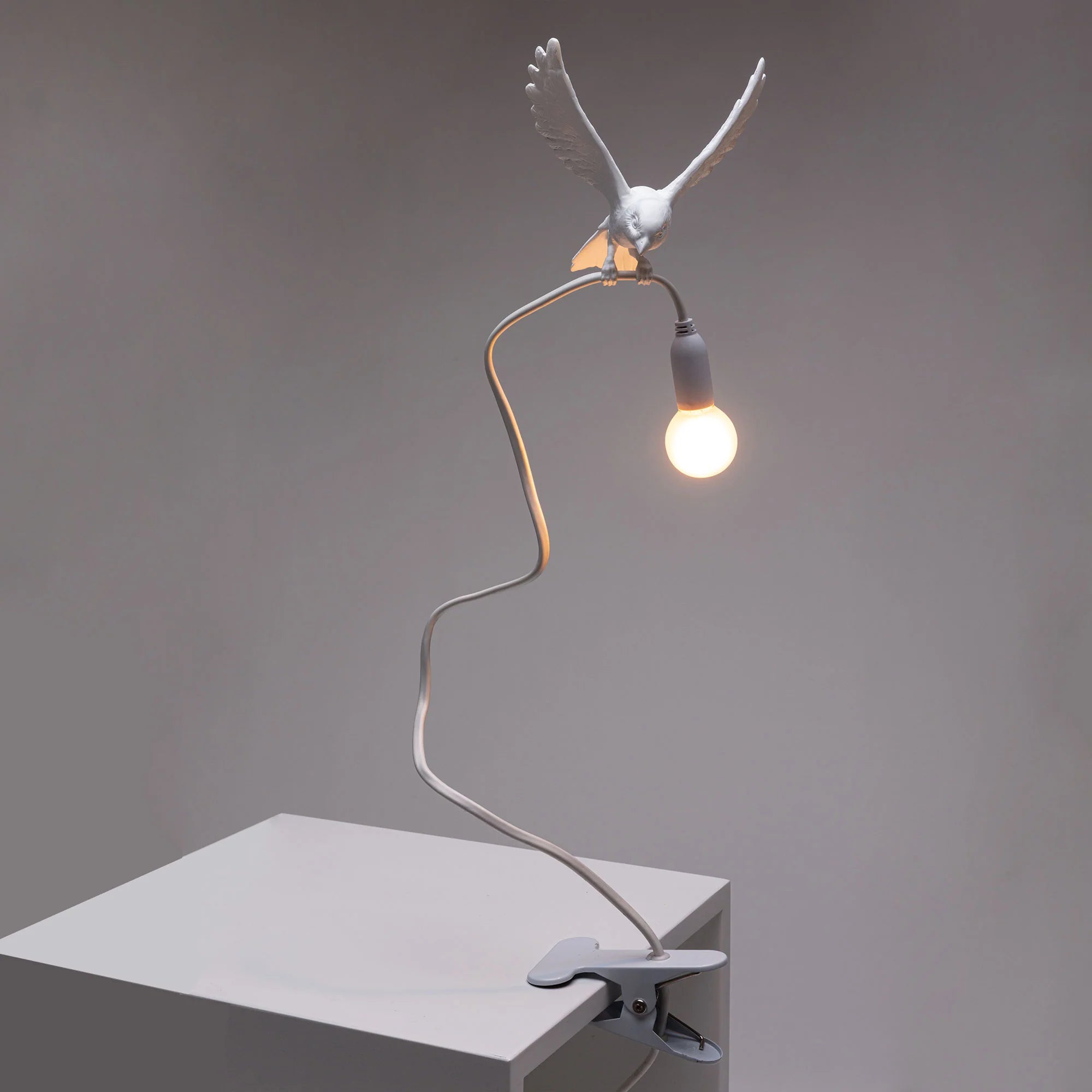 Sparrow Lamp with Clamp