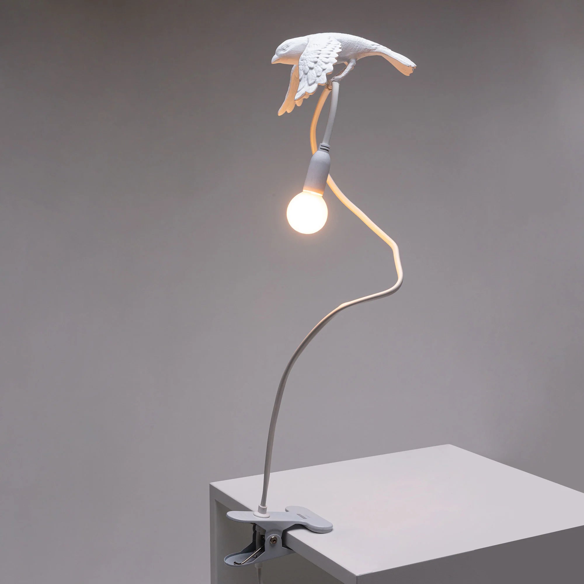 Sparrow Lamp with Clamp