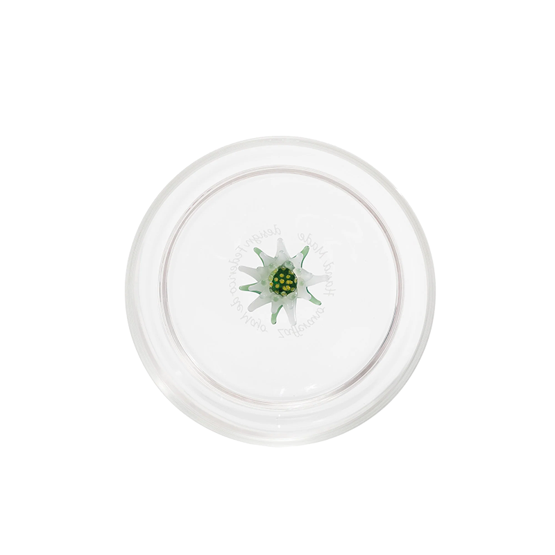 Teca Winter Games. Stella Alpina