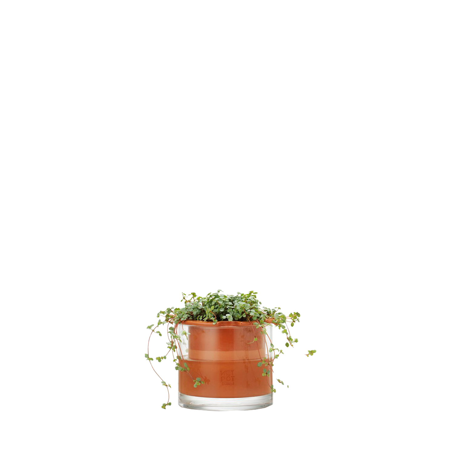 Wet Pot Small.