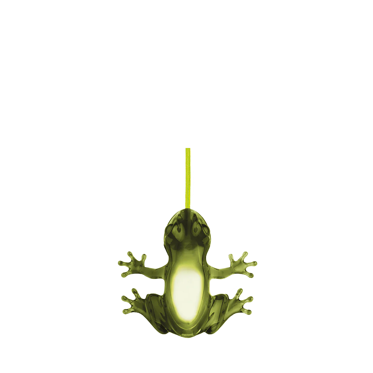 Hungry Frog