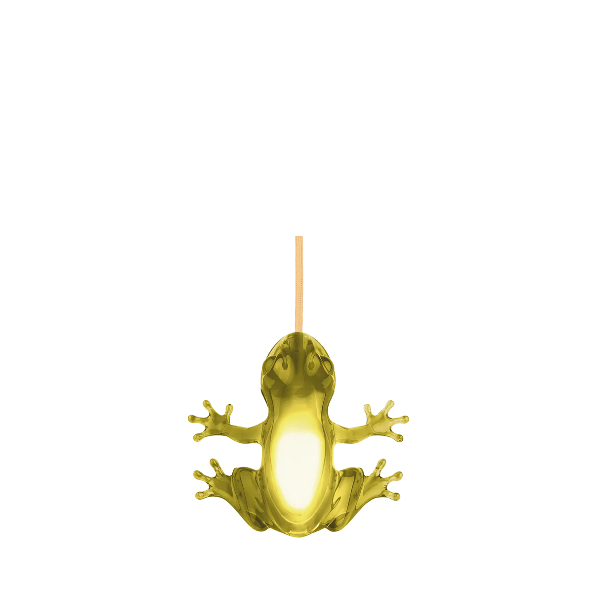 Hungry Frog