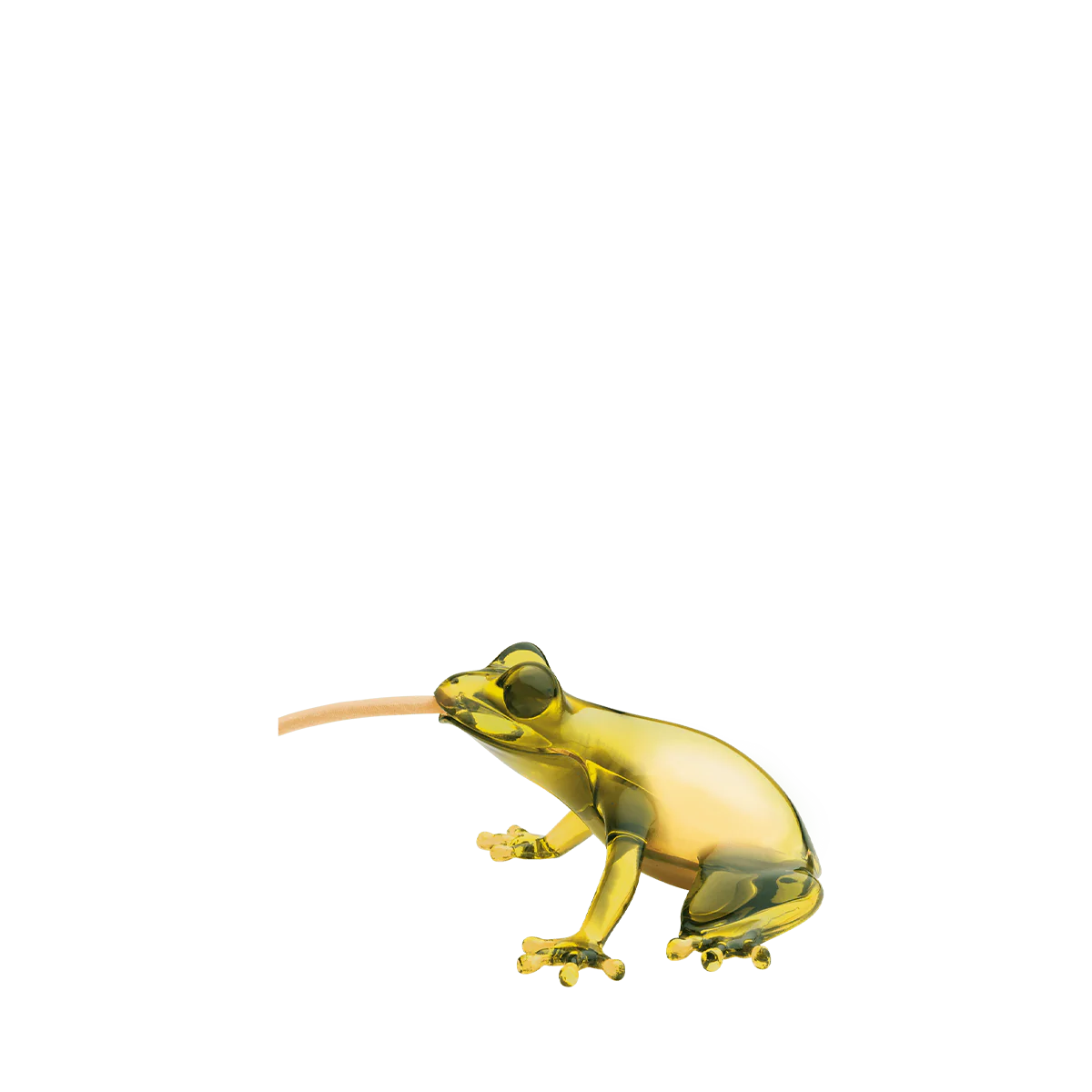 Hungry Frog