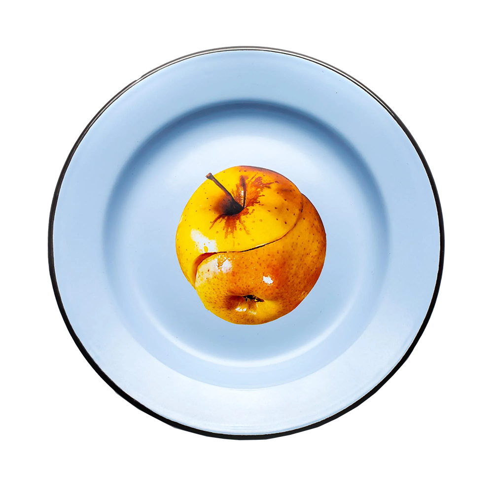 Toiletpaper Enamel Plate