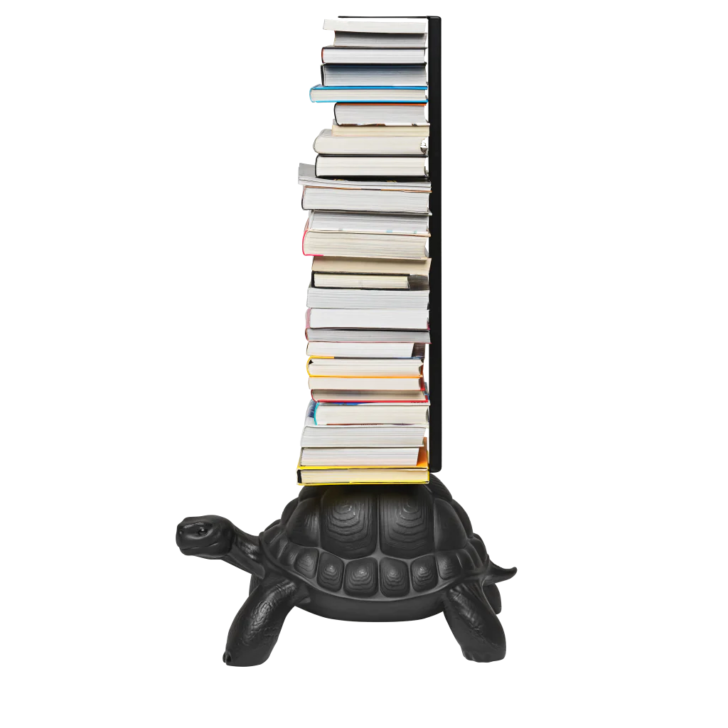 Turtle Carry Bookcase