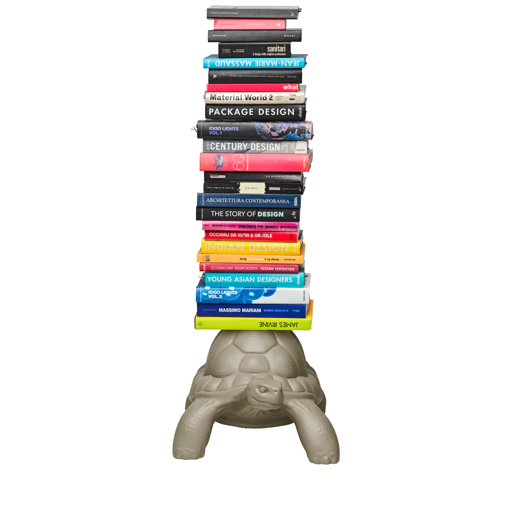 Turtle Carry Bookcase