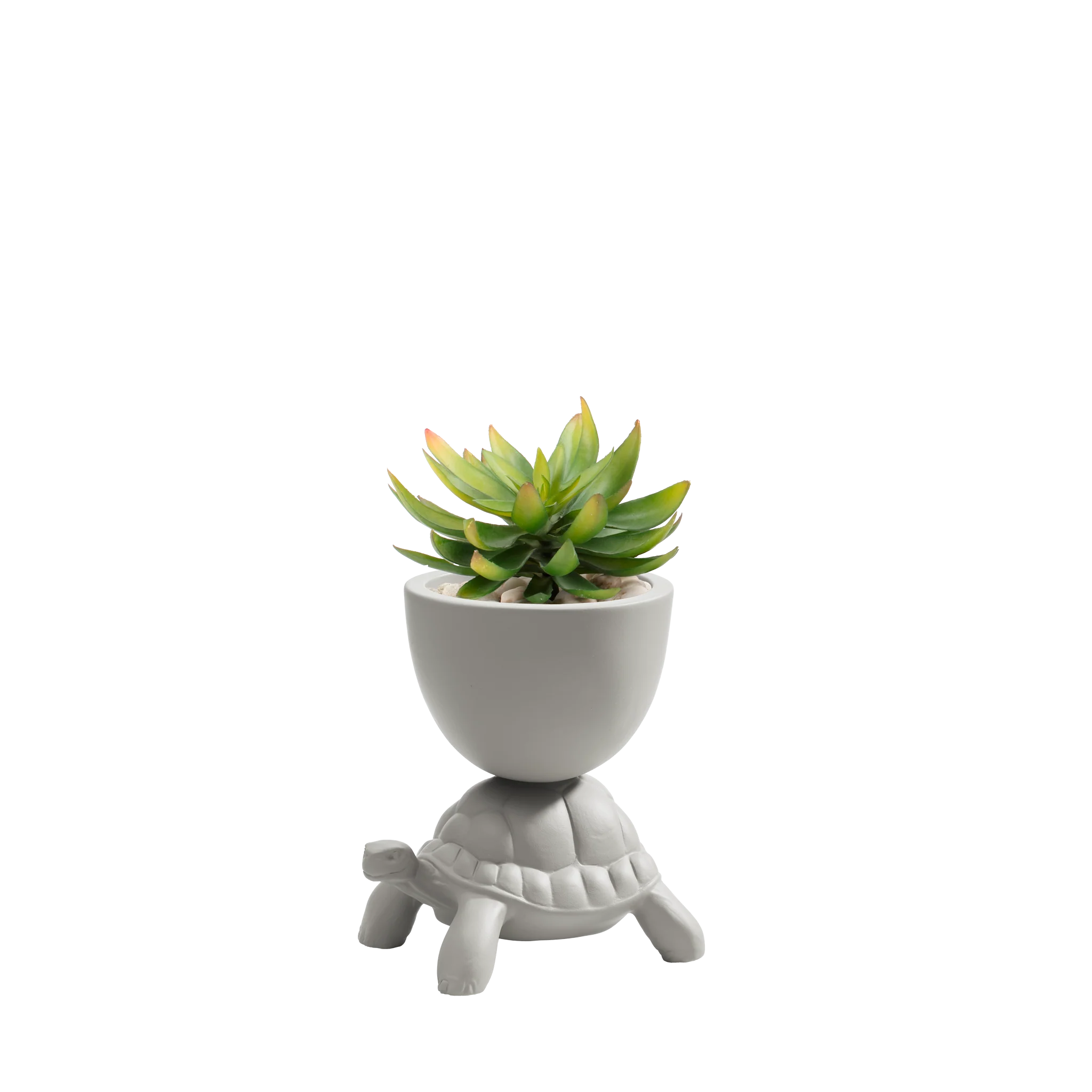 Turtle Carry Planter XS