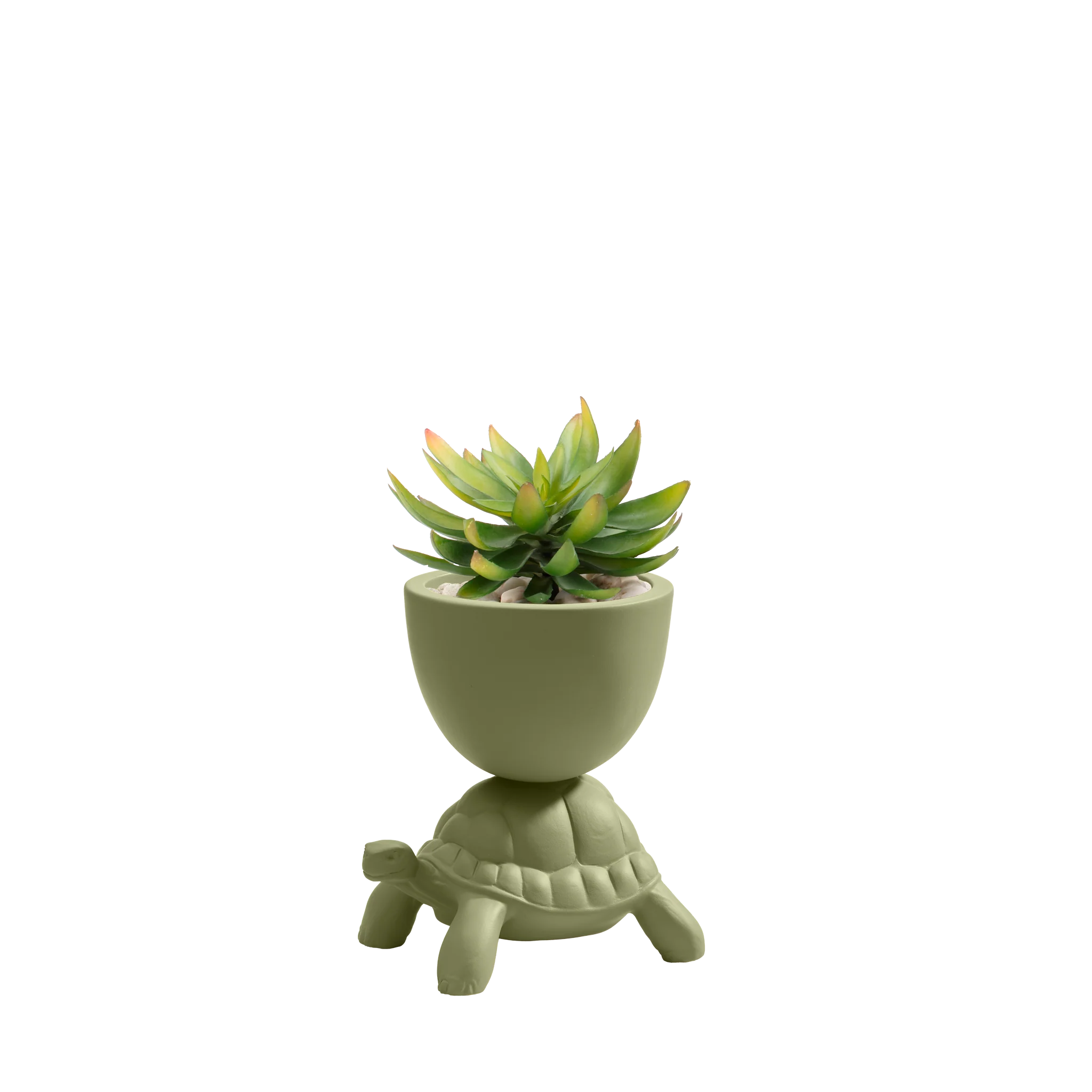 Turtle Carry Planter XS