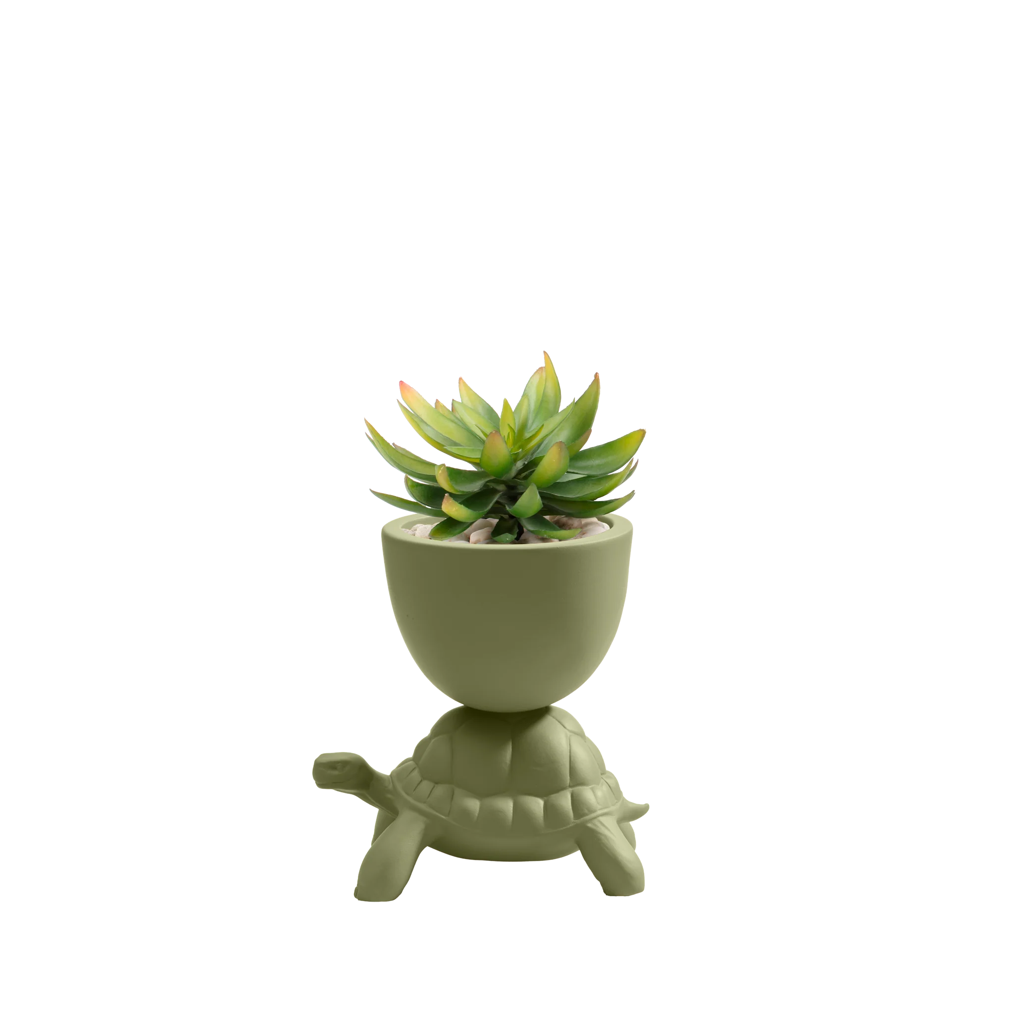 Turtle Carry Planter XS