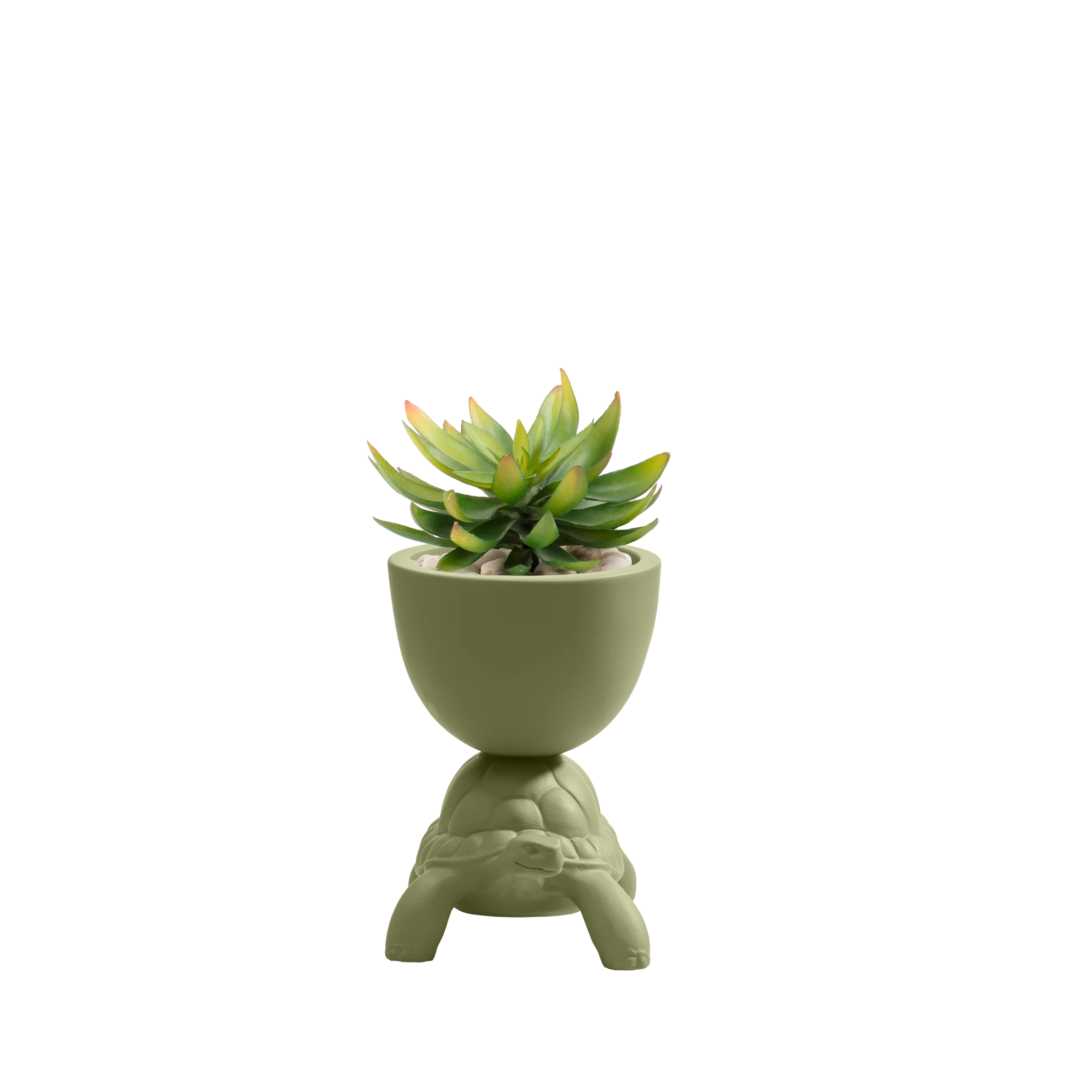 Turtle Carry Planter XS