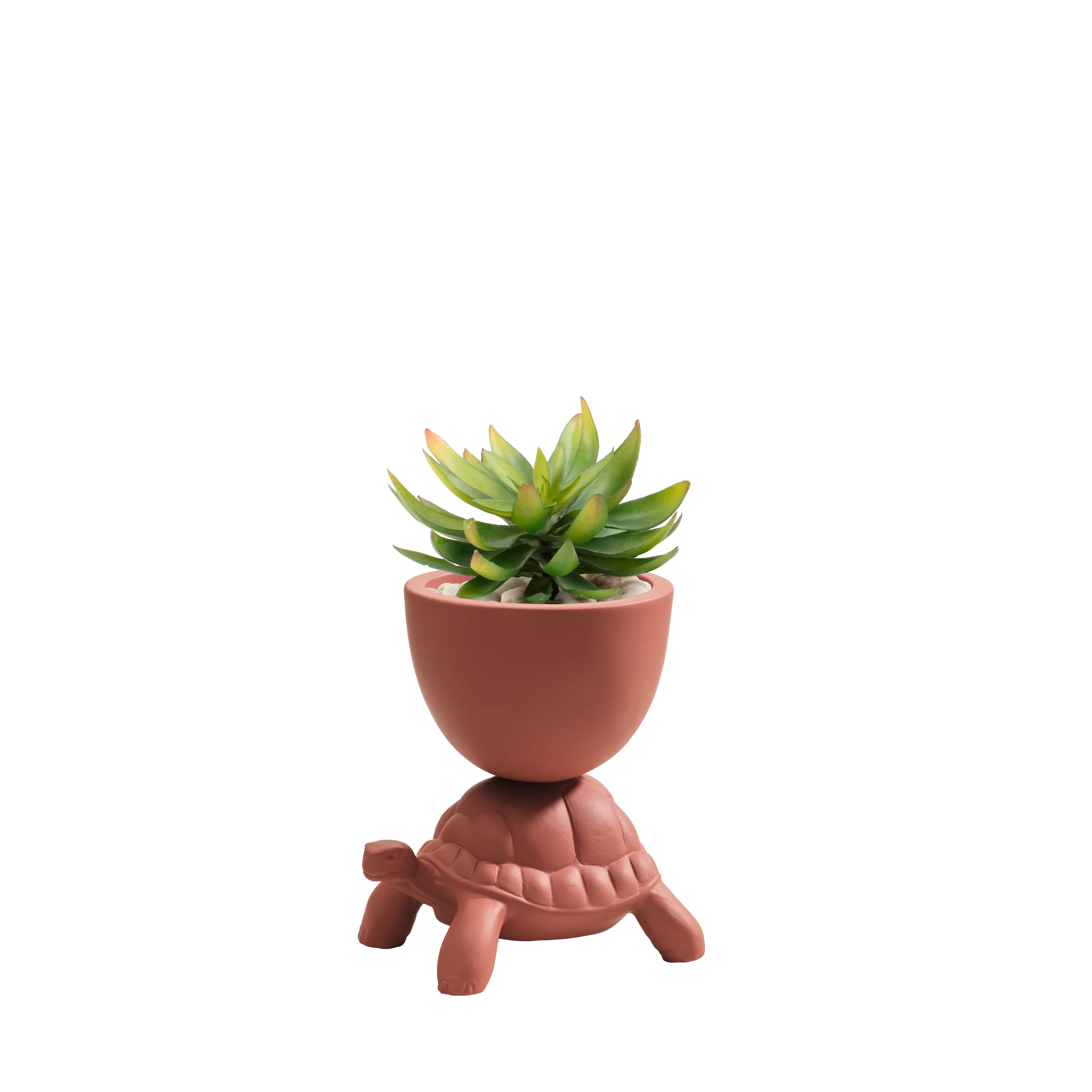 Turtle Carry Planter XS